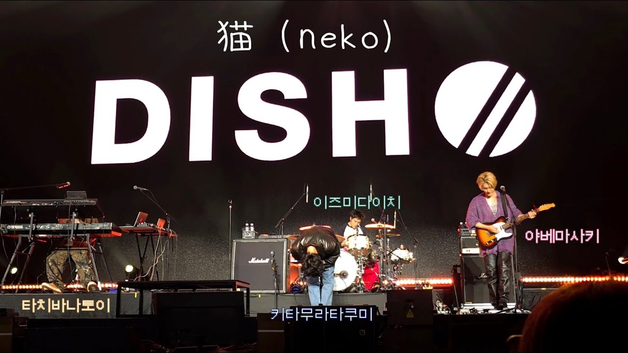 251114 DISH// (딧슈) -  猫 (네코, 고양이, Neko) WONDERLIVET (원더리벳) 내한공연