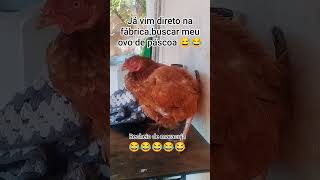 meu ovo de páscoa😂 #shortvideo #memes #fy #páscoa #humor #entretenimiento #zoera