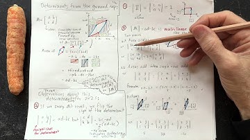 Determinants from the ground up