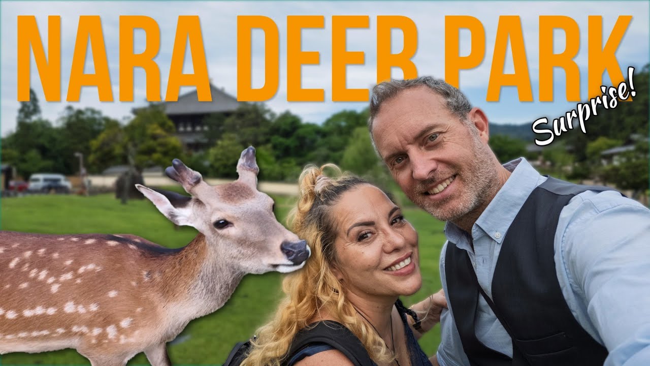 🦌 Nara Day Trip: Feeding the friendly (and hungry) Nara deer