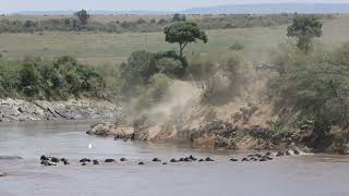 Great Migration Part 2