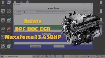 Delete DPF EGR Maxxforce 11/13 450HP