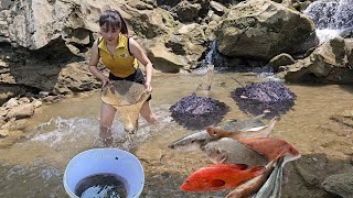 Catching fish, Surprised by the girl's method of catching fish using ant nests