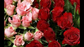 Beautiful Pic Of Valentine Flowers screenshot 2