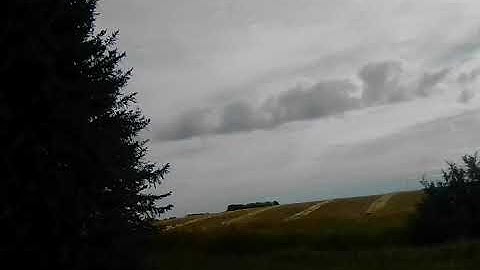 Moving Trees Phenomena - part 1