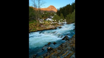 وَأَوْحَىٰ رَبُّكَ إِلَى النَّحْلِ أَنِ اتَّخِذِي مِنَ الْجِبَالِ بُيُوتًا..(القارئ خالد الجليل)