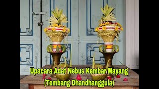 Upacara Adat NEBUS KEMBAR MAYANG, Dukuh Tambak Desa Berjo Kecamatan Ngargoyoso