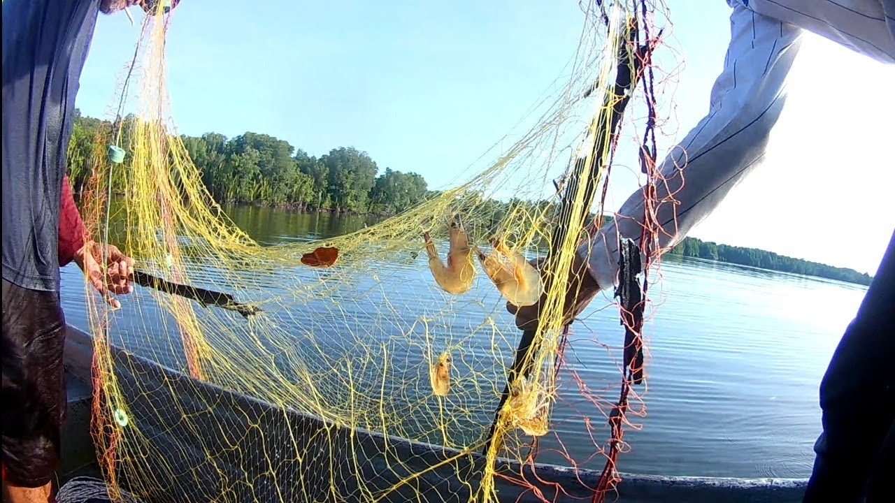 Memukat udang di muara sungai