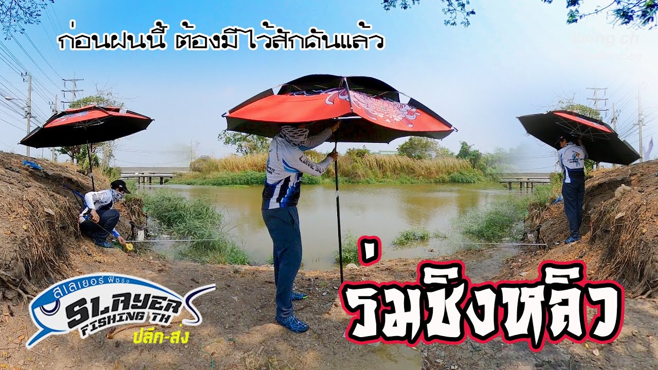 ร่มชิงหลิว 2.4 เมตร สีสวย วันนี้ผมมารีวิวให้ดูครับ สินค้านำเข้ามาโดย ร้ายสเลเยอร์ ฟิชชิ่ง