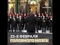 23-е февраля головного мозга