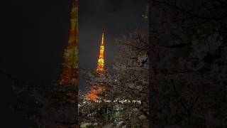 Tokyo Tower at Night in Spring