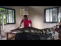 Des employs en thalande poignardent des crocodiles et les corchent vifs