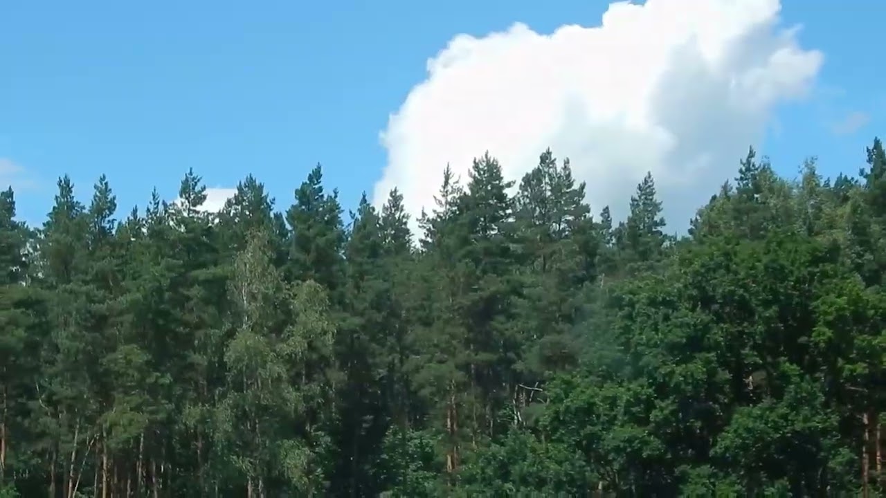 West Coast Type Beat - [mufalo]