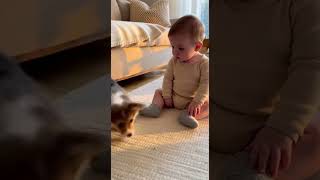 Puppy Makes Baby Laugh So Hard