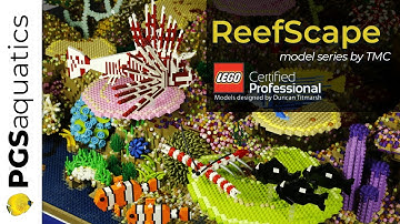 Regal Tang and Clownfish Pair - ReefScape Model Build