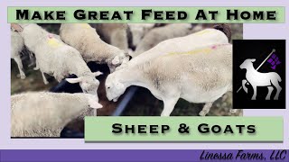 Making Healthy Feed Your Sheep and Goats Will LOVE!