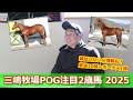 POGファン必見！2025年三嶋牧場育成注目2歳馬情報