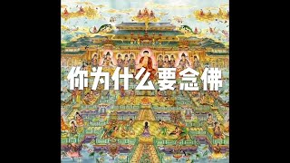 201501 你为什么要念佛21300
