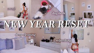 NEW YEAR RESET! | clean with me, washing my new dog, decluttering &amp; more for the new year!!