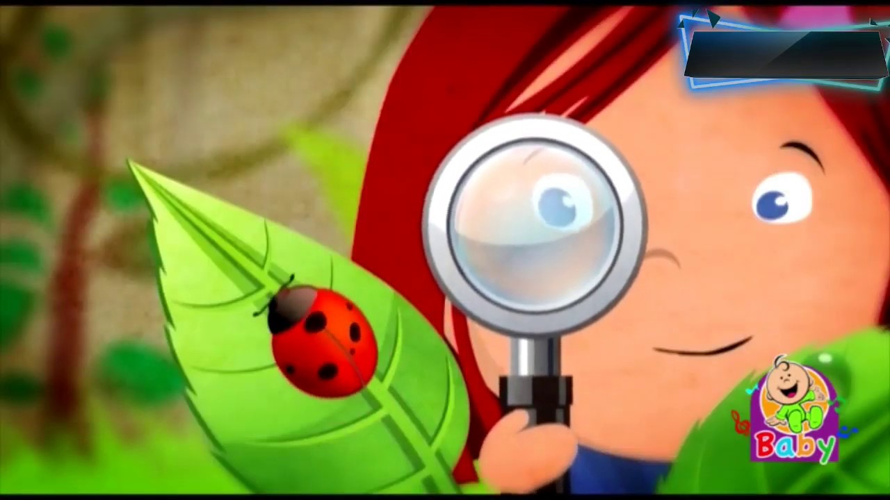 طيور بيبي اغنية جميلة - YouTube