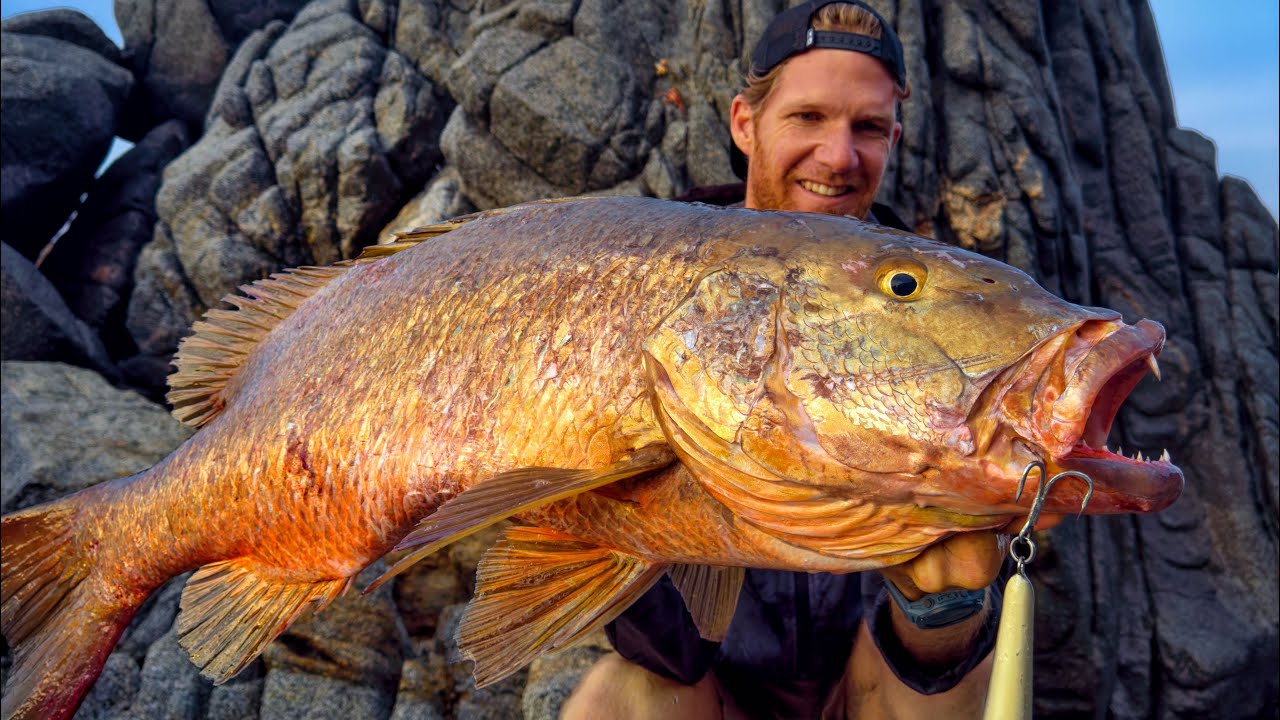 BIG Snapper off the rocks! - YouTube
