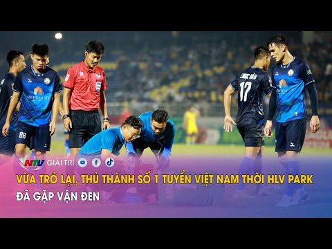 Vừa trở lại,