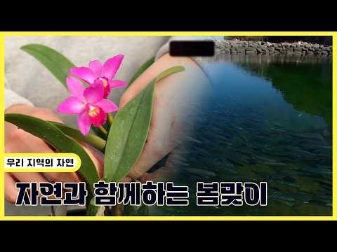 자연과 함께하는 봄맞이 | 생생투데이 사람과 세상 (KBS 2026.03.03.화 방송)