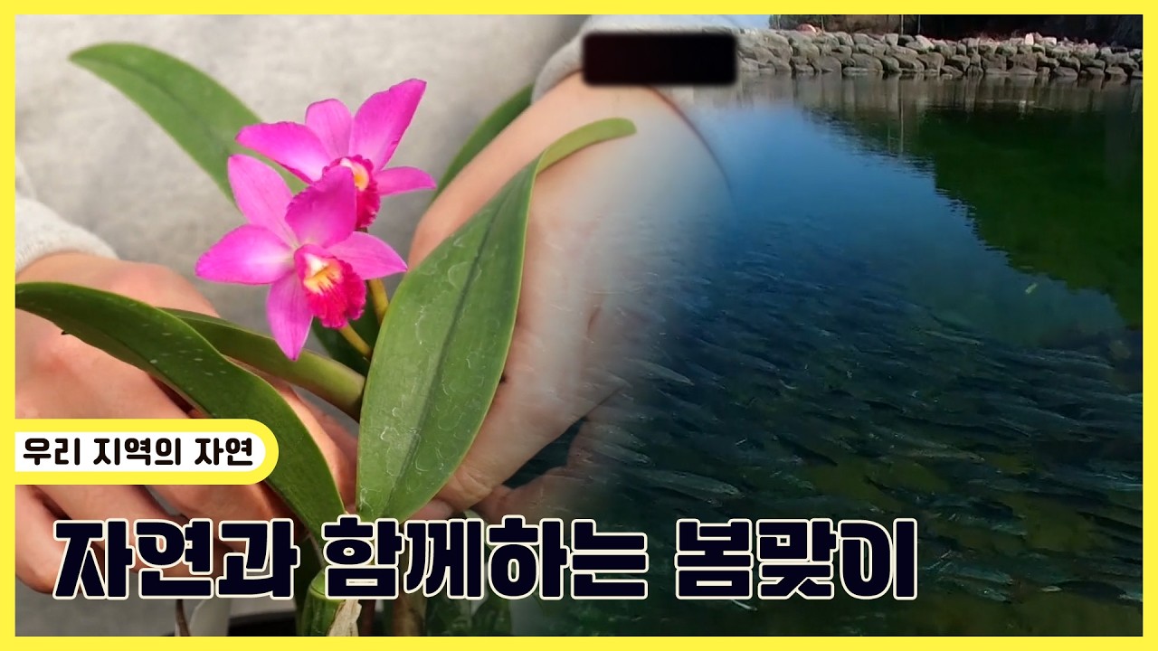 자연과 함께하는 봄맞이 | 생생투데이 사람과 세상 (KBS 2026.03.03.화 방송)