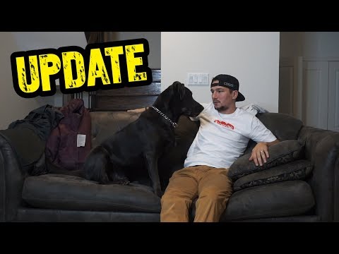 my wife left me (life update)
