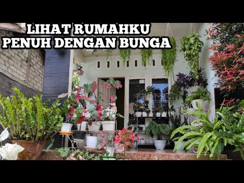 Video: Taman Bunga Bayangan: Kreasi, Desain, Dan Pemilihan Tanaman