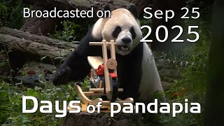 20250925 Broadcast Top Highlights 01