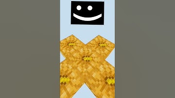 Minecraft Try Not To Blink Challenge😱 #minecraft #shorts #minecraftshorts #gaming