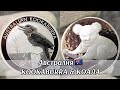 Серебряные инвестиционные монеты Австралия. Kookaburra и Коала