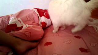 20121112_140223.mp4