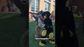 Furry Sports 😂@LyzzTheLioness  @awashing.machine #Furry #furries #fursona #fusuiter #furryfandom