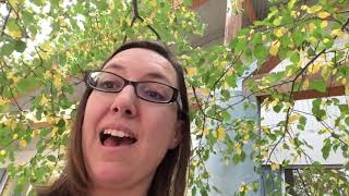 STEM Think Tank: Backyard Biodiversity @ Weyburn Public Library
