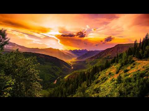 Elektronomia & JJD - Free (Reversed)