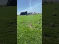 A quick drive around the property. #ourhobbyfarmlife