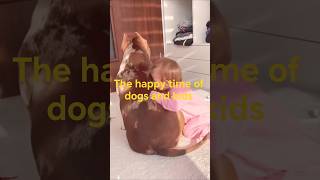 狗狗和孩子们的欢乐时光The happy time of dogs and kids- ̗̀(๑ᵔ⌔ᵔ๑)#funny #pets #dog #dogs #dogshorts