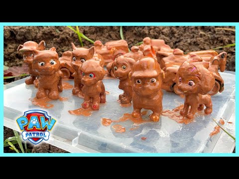 Paw Patrol Mighty