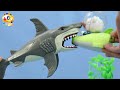 Learn Animals and with ToyBus | 🦈 Big Shark Attacking the City 🏙 | City-Invasion | ToyBus