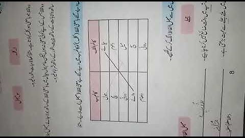 5 June 2020 lecture of Urdu grammar class 4th allied school