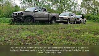 Detection dog training, Vehicle searches