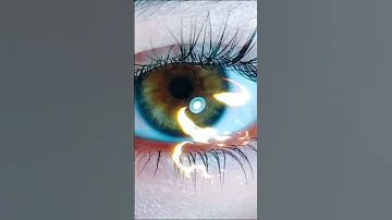 هذه الدنيا كتاب أنت فيه الفكر ام كلثوم 