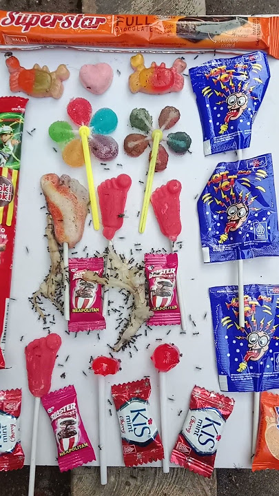 porsi yg sangat banyak bikin semua semut kenyang#shorts