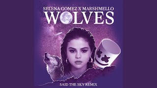 Video thumbnail of "Selena Gomez - Wolves (Said The Sky Remix)"