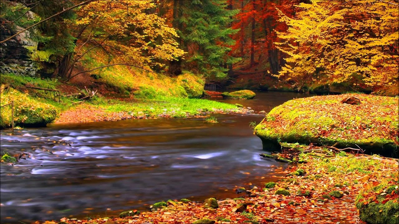 Autumn Leaves Chris Brown DuBsTeP VeRsIoN YouTube autumn-leaves-chris-brown-dubstep-version-youtube