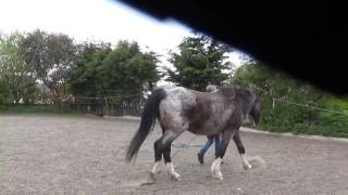 Straightness Training Evaluation Liberty 1