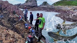 [Plus] Use 8 pumps to harvest 100kg fish in a 2000 square meter water pit