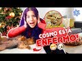 COSMO ESTÁ ENFERMO!! 😰 MORDIÓ UN SAPO!! VLOGMAS 1🎄 02 Dic 2019 | Leyla Star 💫